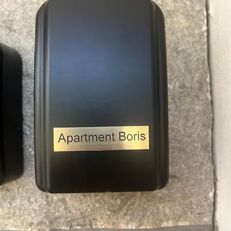 Апартаменты Boris's Guest
