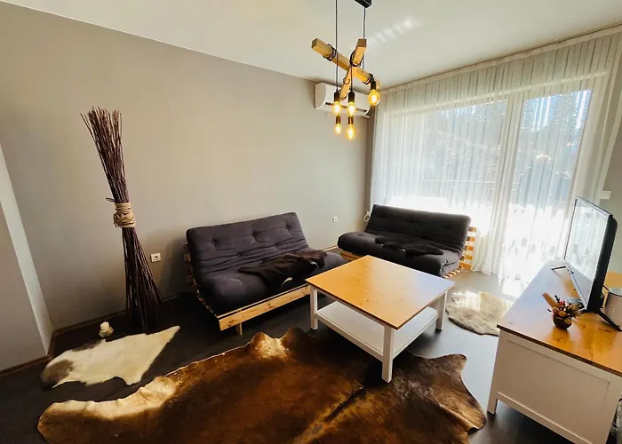 Apartment Boris's Guest *